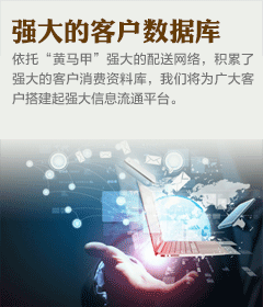 强大的客户数据库